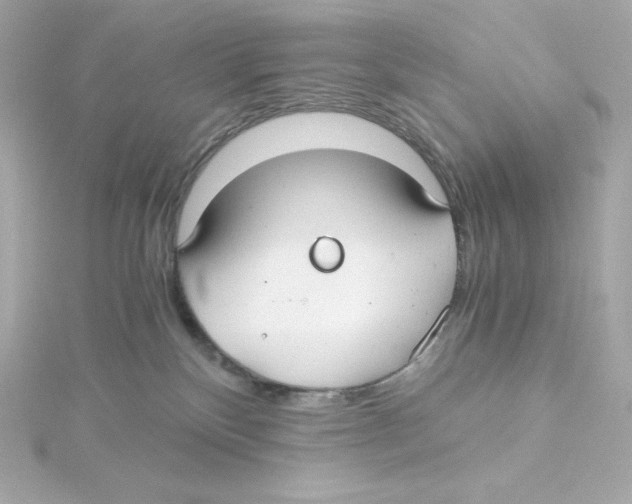 X0000115260136200911271933