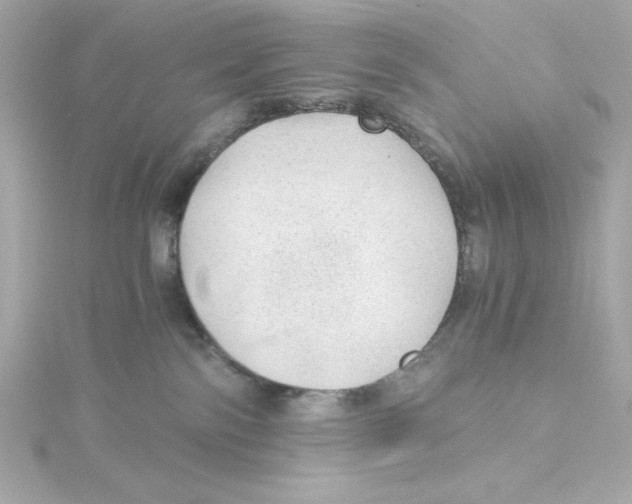 X0000115260138200911271933