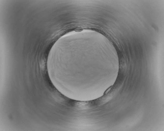 X0000115260139200911271933