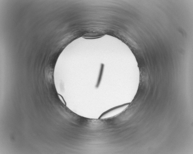 X0000115260141200911271933