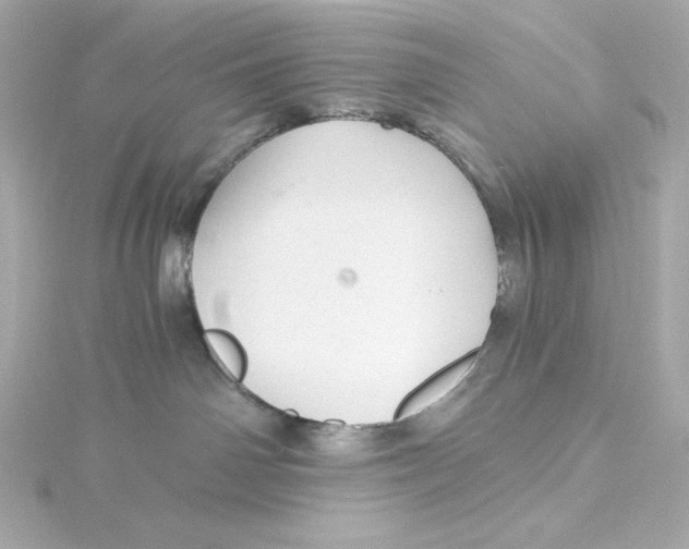 X0000115260142200911271933