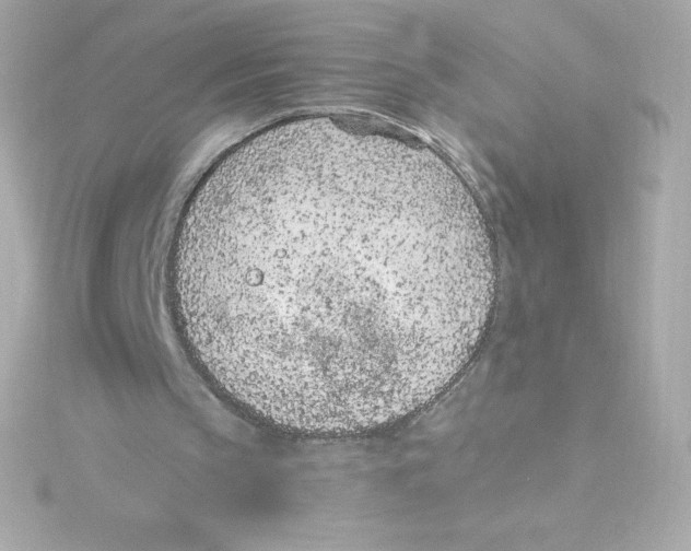 X0000115260145200911271932