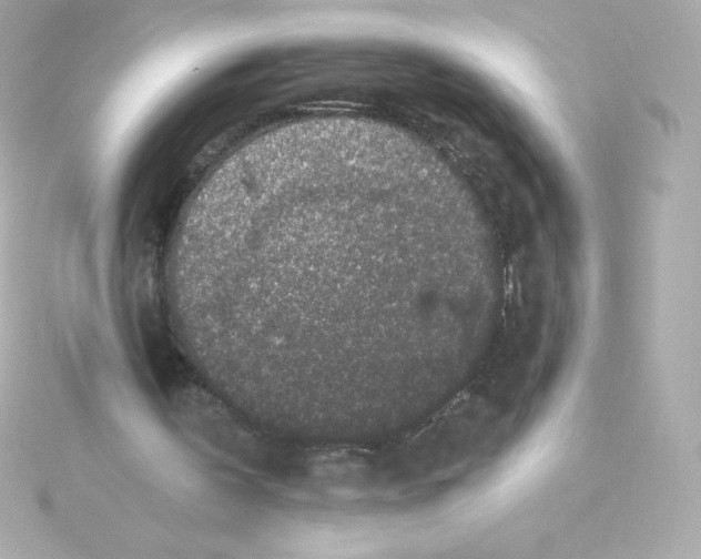 X0000115260146200911271932