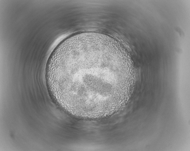 X0000115260147200911271932