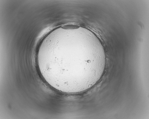 X0000115260149200911271932