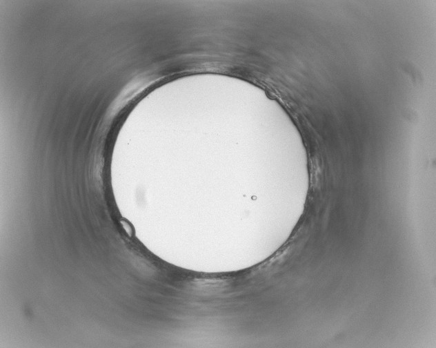 X0000115260150200911271932