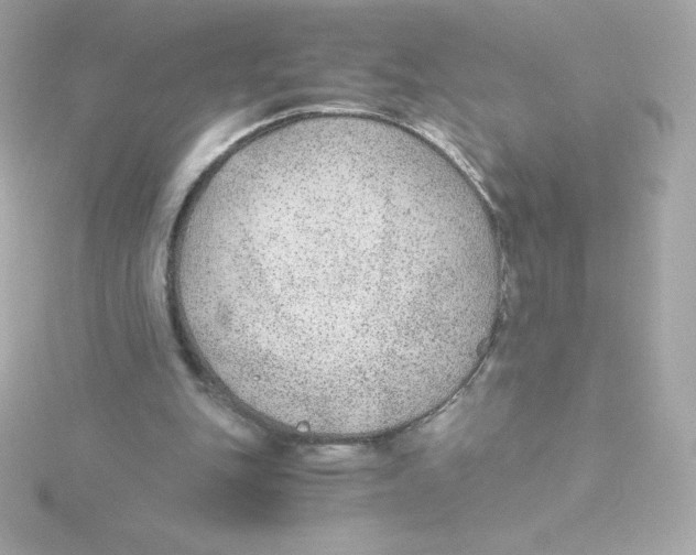 X0000115260151200911271932