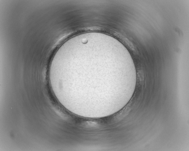 X0000115260159200911271932