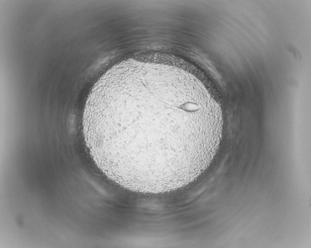 X0000115260161200911271933