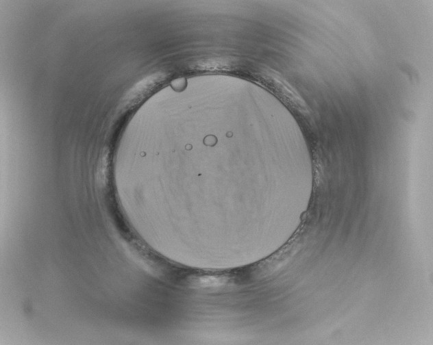 X0000115260163200911271933