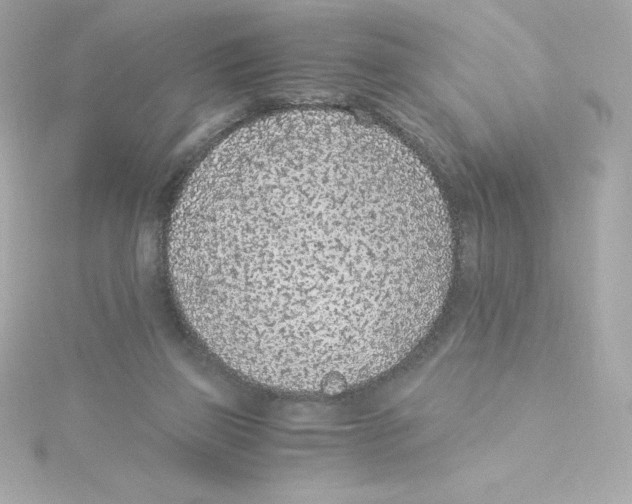 X0000115260165200911271933