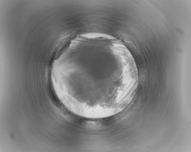 X0000115260167200911271933