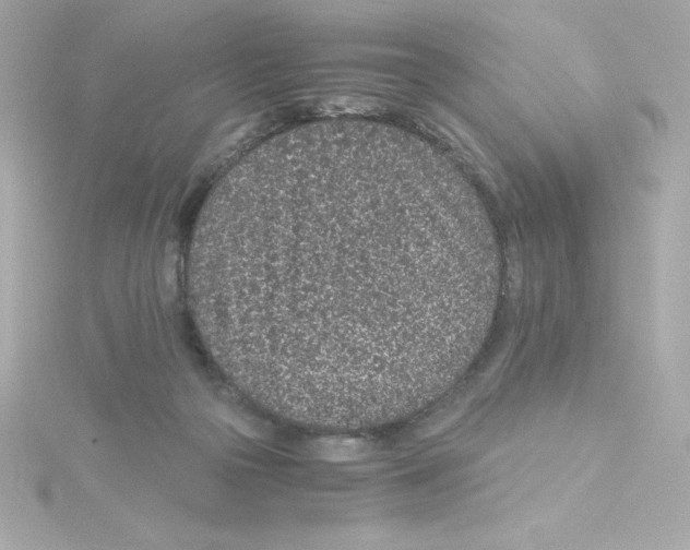 X0000115260169200911271933