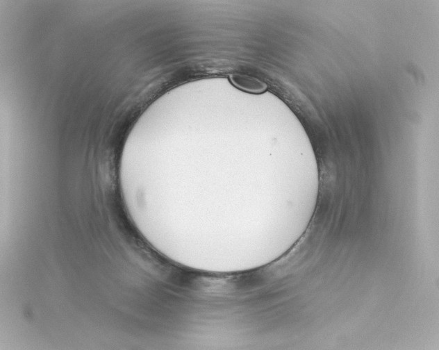 X0000115260170200911271933