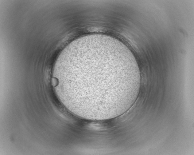 X0000115260171200911271933