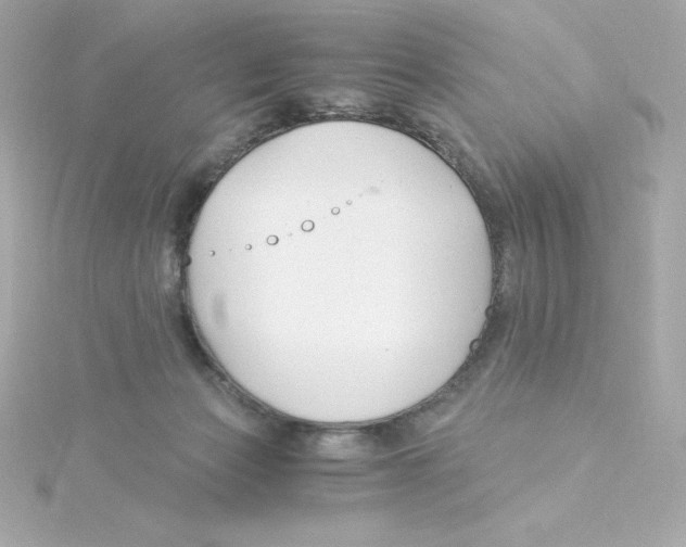 X0000115260173200911271933