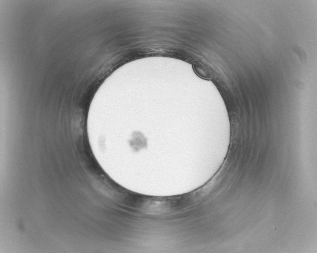 X0000115260174200911271933