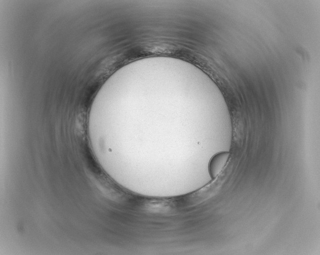 X0000115260175200911271933