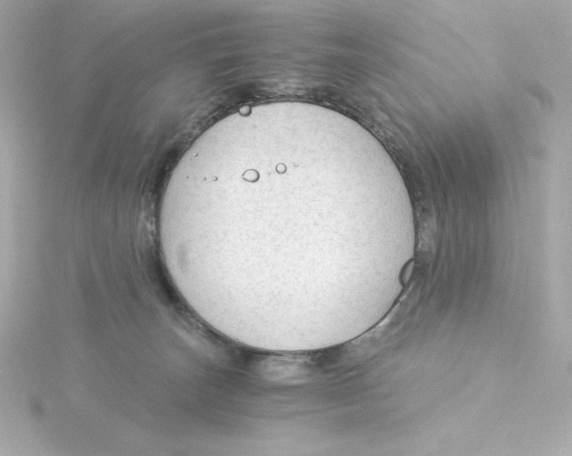 X0000115260179200911271933