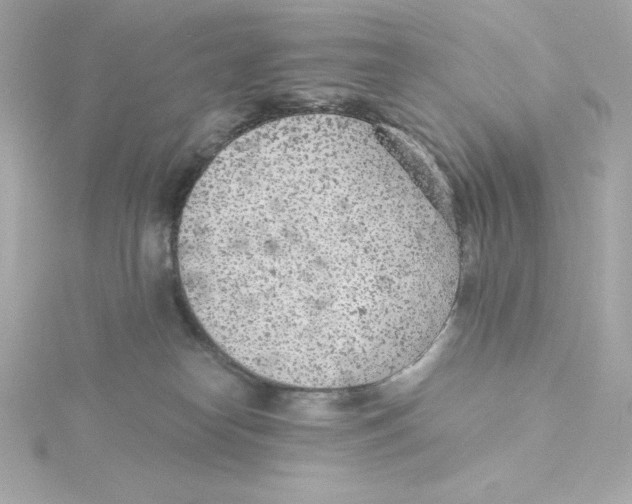 X0000115260182200911271933