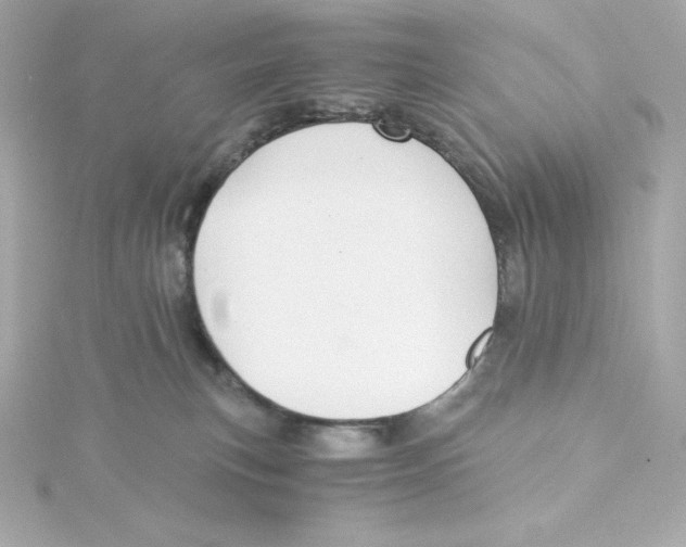 X0000115260183200911271933