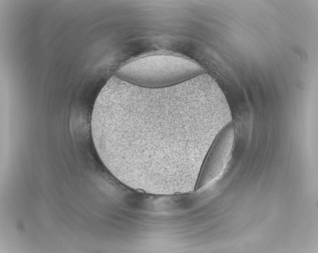 X0000115260186200911271933