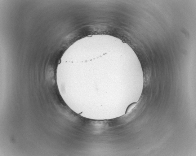 X0000115260187200911271933