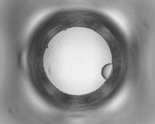 X0000115260189200911271933