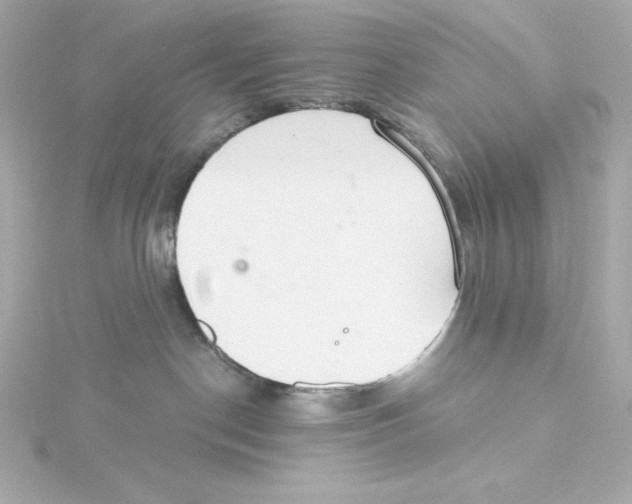 X0000115260190200911271933