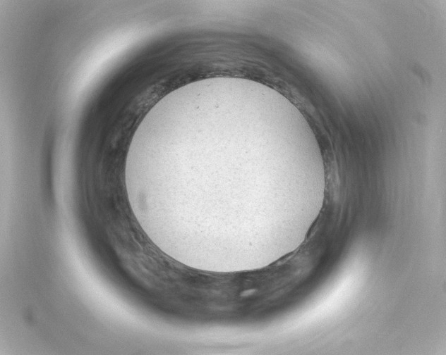 X0000115260191200911271933