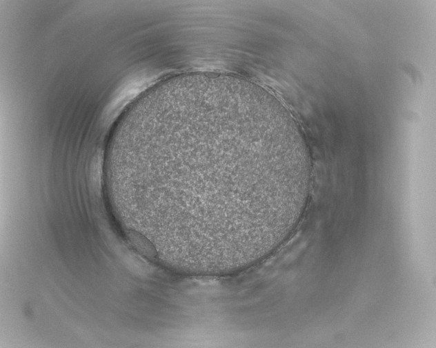 X0000115260194200911271932