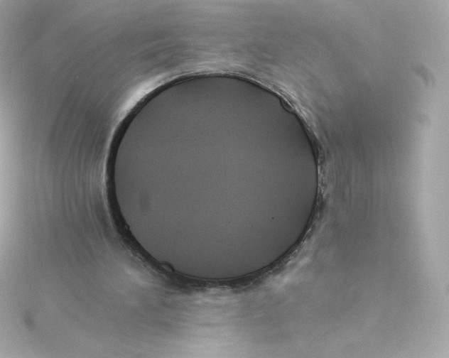 X0000115260196200911271932