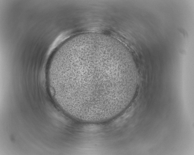 X0000115260198200911271932