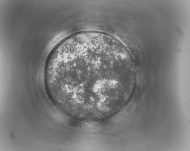 X0000115260199200911271932