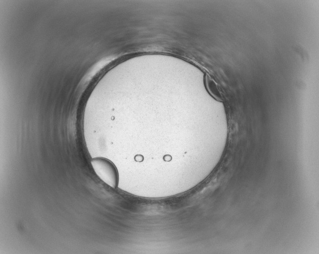 X0000115260200200911271932