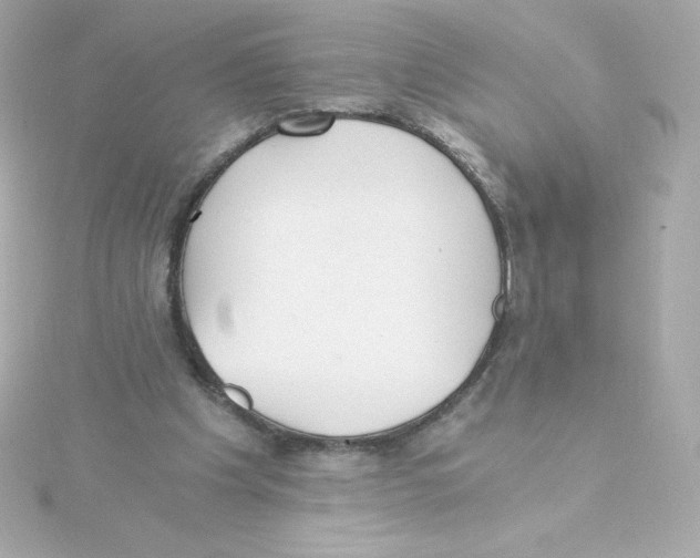 X0000115260201200911271932