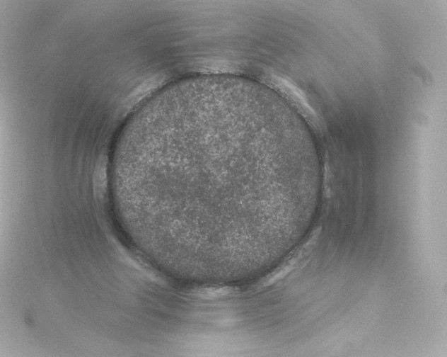 X0000115260202200911271932