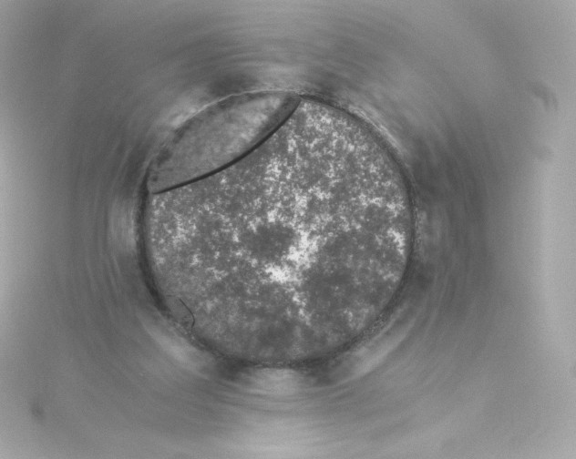 X0000115260203200911271932