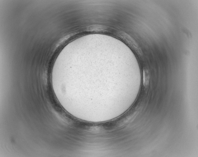 X0000115260204200911271932