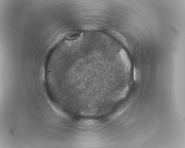 X0000115260205200911271932