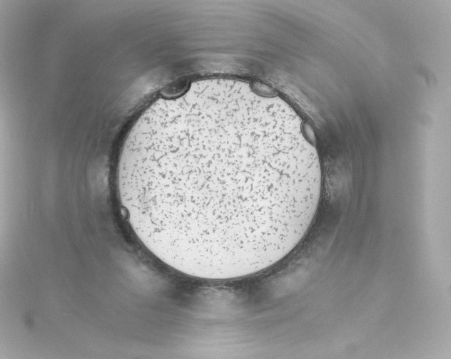 X0000115260207200911271932