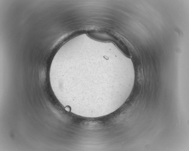 X0000115260208200911271932