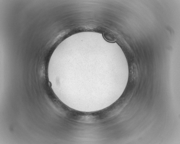 X0000115260212200911271932