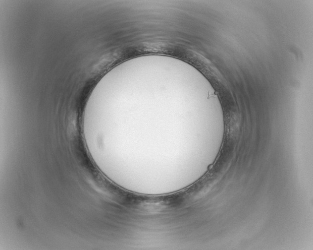 X0000115260213200911271932