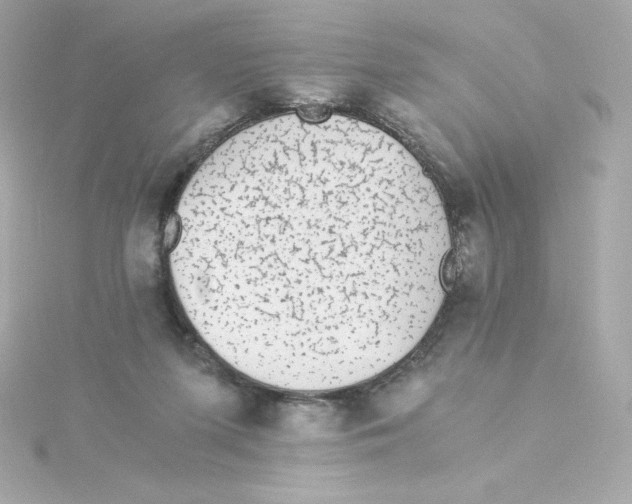 X0000115260215200911271932