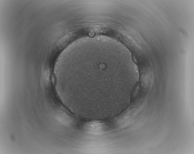 X0000115260219200911271932