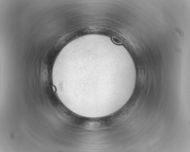 X0000115260220200911271932