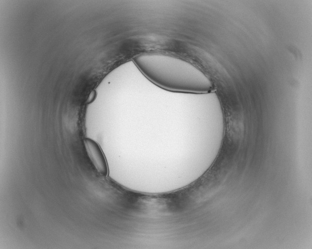 X0000115260221200911271932