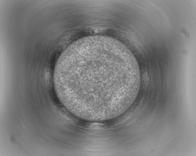 X0000115260222200911271932