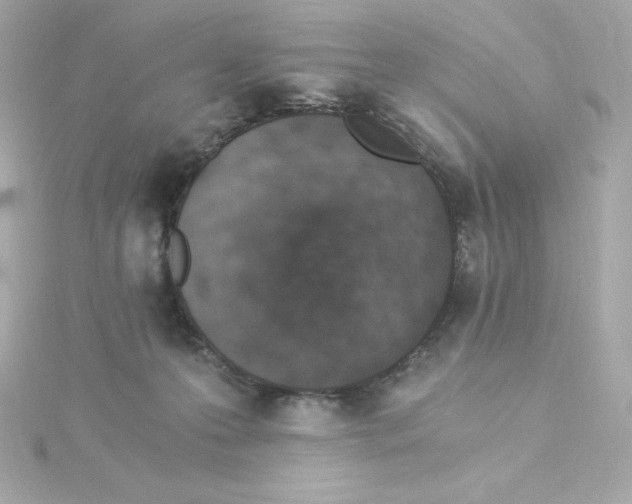 X0000115260223200911271932